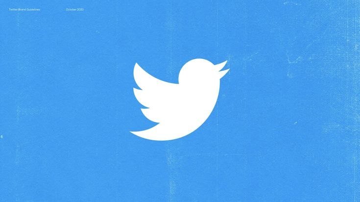 X (Twitter) Accounts
