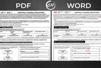 I will convert pdf to word, pdf to excel or data entry in 24 hours