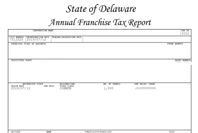 I will file annual report in wyoming state and delaware as a US CPA