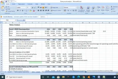 I will prepare financial statement analysis report, dcf, valuation, npv, irr, and wacc